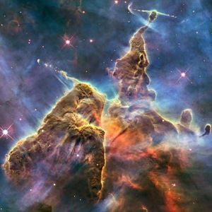 Meet your Posher, Laina